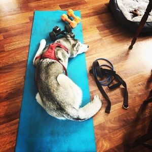 Meet your Posher, Desiree